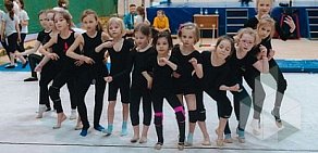 Фитнес-клуб Deti детская спортивная школа по художественной гимнастике и акробатике на метро Новогиреево 