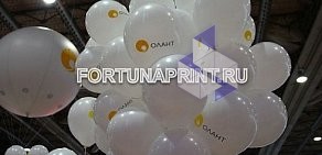 Компания печати на воздушных шарах ФортунаПринт на Суздальской улице