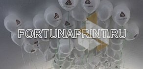 Компания печати на воздушных шарах ФортунаПринт на Суздальской улице