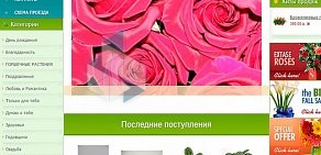 Web-студия SeoTime