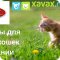 Интернет-магазин зоотоваров Xavax.ru