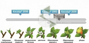 Торговая компания Агриплант