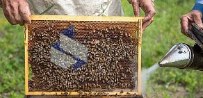 Зауральская пчеловодная компания Новая Пасека на Омской улице