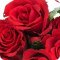 Сеть цветочных бутиков Romantic в Парковом проезде