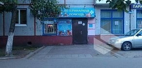 Ветеринарный кабинет на улице Рылеева