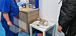 Ветеринарная клиника Бэмби