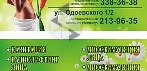 Студия аппаратной коррекции фигуры Тэида