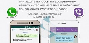 Цветочный салон ЦветыОптРозница на Туристской улице