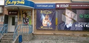 Магазин Силуэт на улице Гагарина