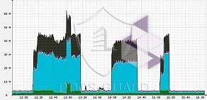 Компания DDoS-GUARD