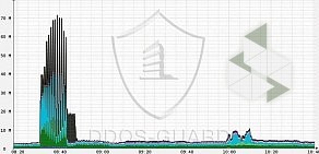 Компания DDoS-GUARD