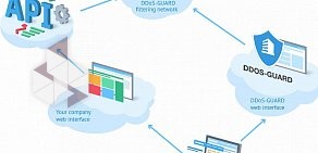 Компания DDoS-GUARD
