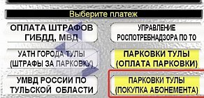 Парковочное пространство Тулы