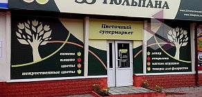 Цветочный магазин 33 тюльпана