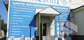 Ветеринарная клиника Айболит на улице Постышева