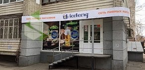 Магазин разливного пива Icebeerg на 2-ой Садовой улице