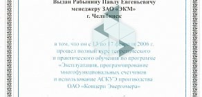 Торговая фирма Электросчетчик на Российской улице