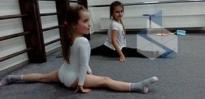 Спортивный клуб по спортивной и художественной гимнастике Gymnastic club