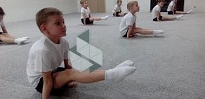 Спортивный клуб по спортивной и художественной гимнастике Gymnastic club