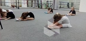 Спортивный клуб по спортивной и художественной гимнастике Gymnastic club