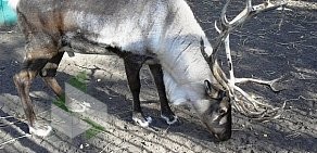 Зоопарк Центр живой природы