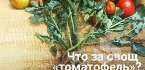 Сельскохозяйственное предприятие Дары Малиновки