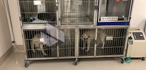 Кабинет ветеринарной медицины и выездной неотложной скорой помощи домашним животным