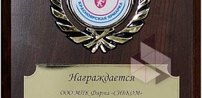 Межрегиональная производственно-коммерческая фирма Сибком на улице Спандаряна