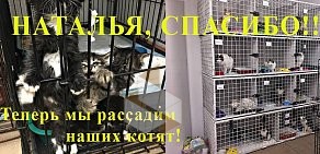 Благотворительный фонд помощи животным Омские Хвостики