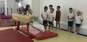 Школа спортивной гимнастики