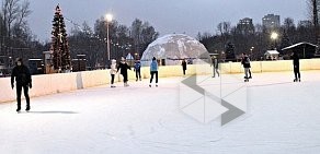 Московский парк Победы Зимний каток на Московской площади