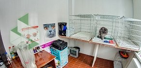 Ветеринарная клиника Альфа-Вет