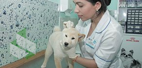 Первый ветеринарный центр в Марьино