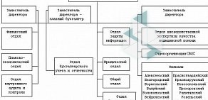 Территориальный фонд обязательного медицинского страхования Белгородской области