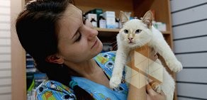 Ветеринарная клиника Зоопульс на проспекте Победы, 292