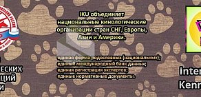 Кинологический клуб Белогорье