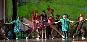 Студия классического русского балета Шене