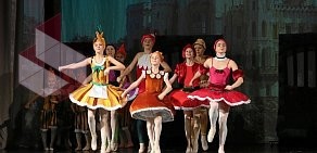 Студия классического русского балета Шене
