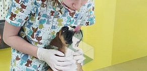 Ветеринарная клиника Смарт Вет на метро Ховрино