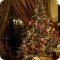 Шоу-рум Holiday tree