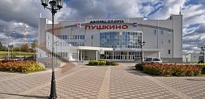 Дворец спорта в Пушкино