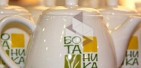 Ланч-бар Ботаника на улице Минина