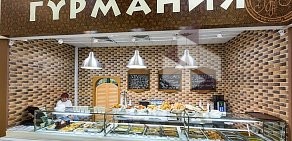 Кафе быстрого питания Гурмания в ТЦ Казанский