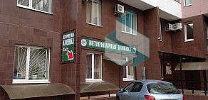 Ветеринарная клиника VetArt на Московском проспекте 