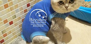 Питомник кошек Безухов на улице Дзержинского