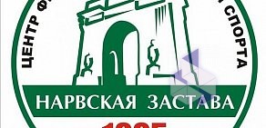 Центр физической культуры и спорта Нарвская застава на проспекте Народного Ополчения, 115