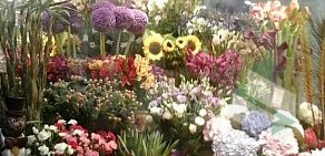 Флористическая лавка Цветы Provance на метро Лесная
