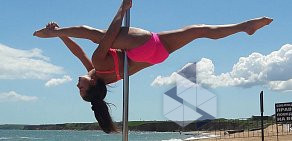 Школа танцев и акробатики на пилоне «Nataly Pole Dance» на улице Парижской Коммуны, 38