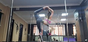 Школа танцев и акробатики на пилоне «Nataly Pole Dance» на улице Парижской Коммуны, 38