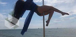 Школа танцев и акробатики на пилоне «Nataly Pole Dance» на улице Парижской Коммуны, 38